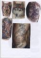 Animali 076